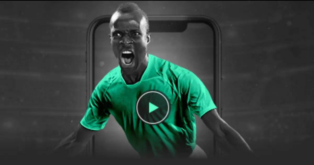 岁新星丰塞,巡回赛初尝,冠军滋味,香港马会,赛程安排,赛果查询,马匹资料,赛事动态