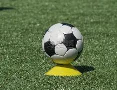 岁新星丰塞,巡回赛初尝,冠军滋味,香港马会,赛程安排,赛果查询,马匹资料,赛事动态